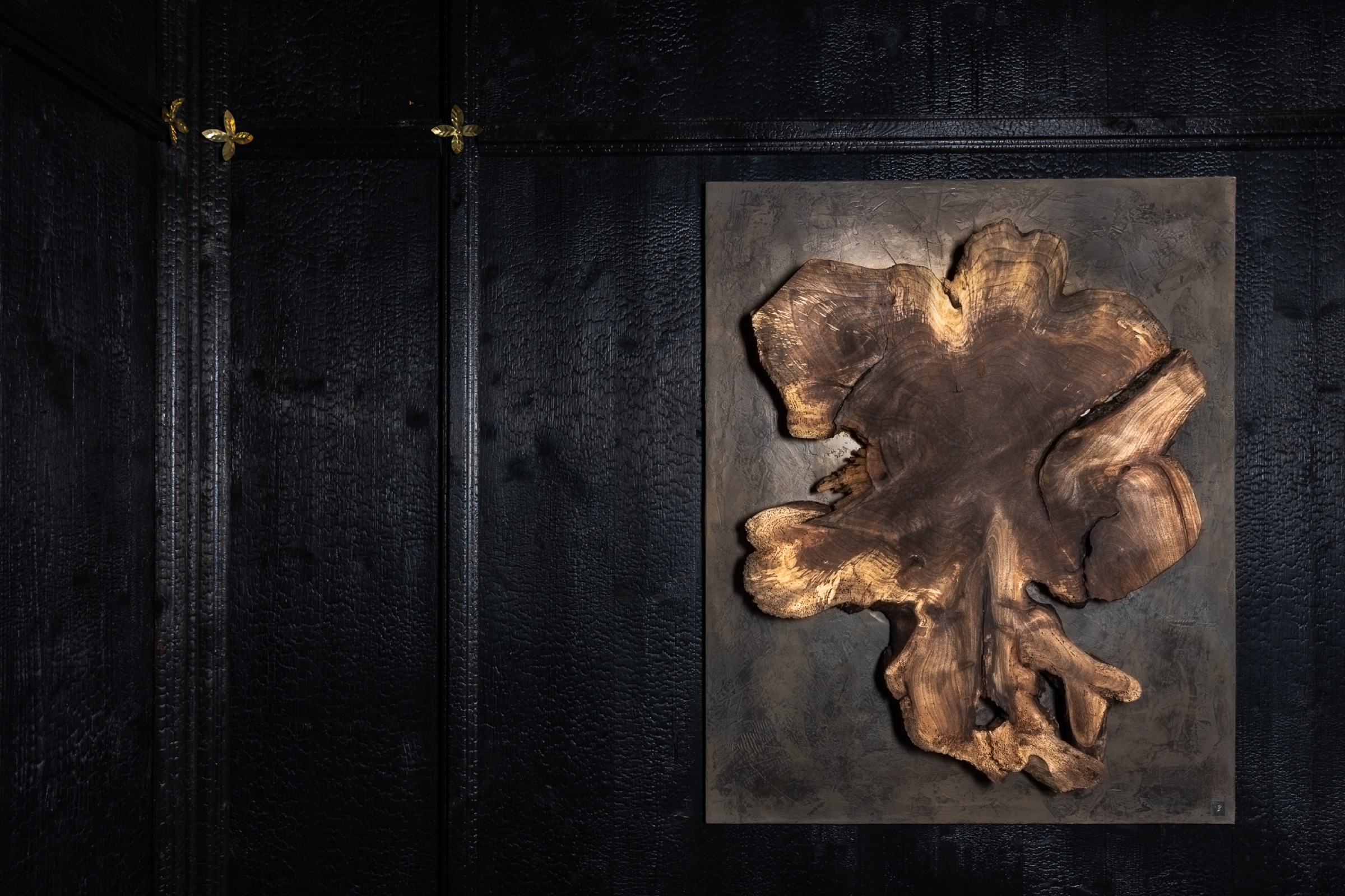 walnut portrait